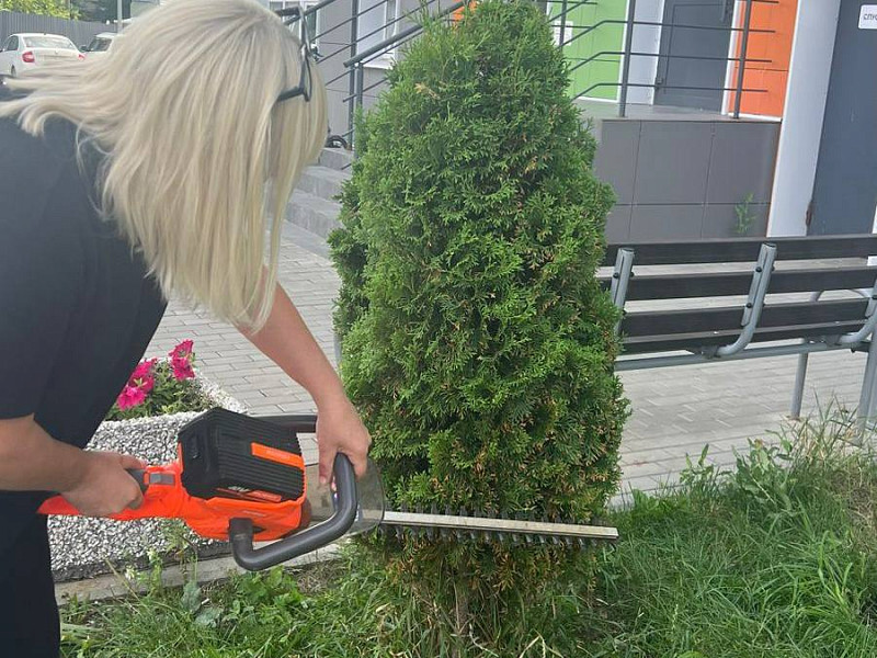 Какие виды работ по озеленению мы проводим в наших жилых комплексах?